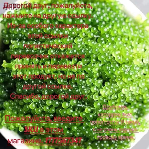 Морской виноград Уми Будо, Sea View, 100 г.