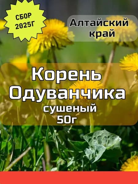 Корень Одуванчика Сбор 2025г. 50г. Лесной Алтай