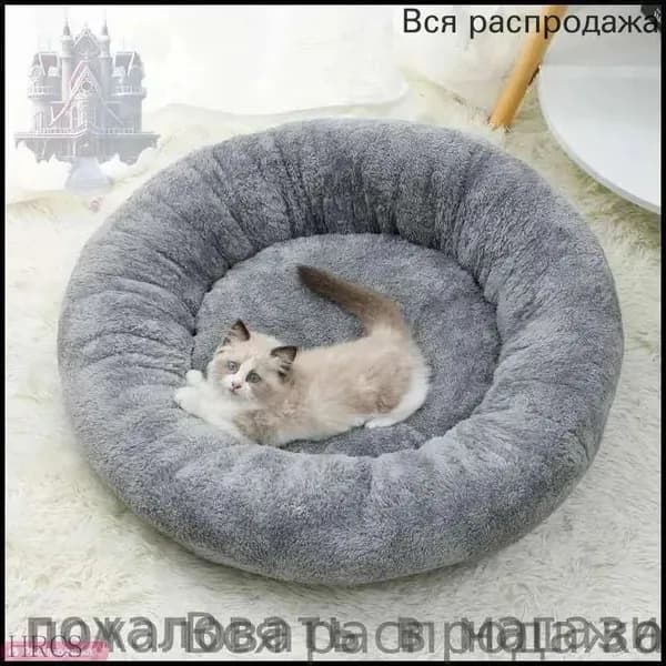 Лежаки для кошек с теплой спинкой идеальное место вашего питомца в холодные дни