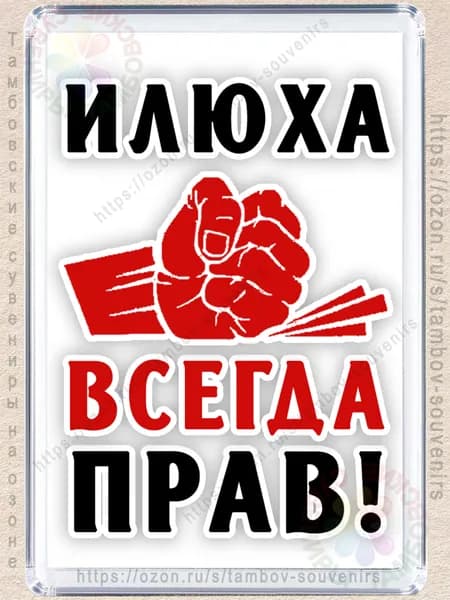 Магнит на холодильник "Илюха всегда прав"