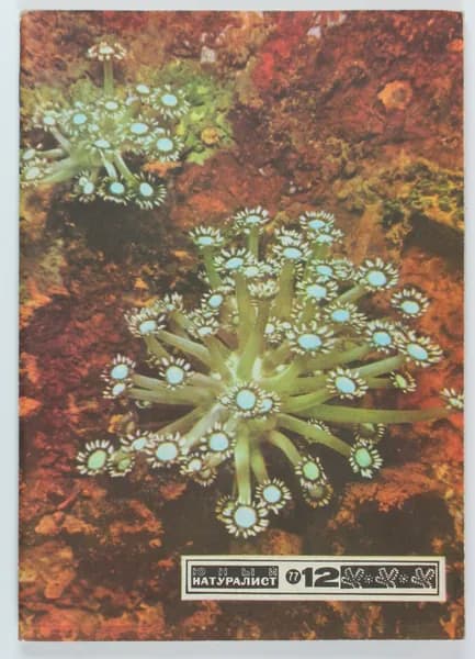 Винтажный журнал СССР Юный Натуралист, 1977 год