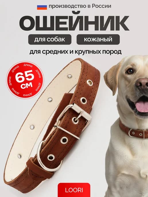 Кожаный ошейник для собак