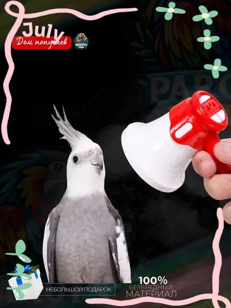 Популярный диктофон для попугая, повторяющий речь, используется.