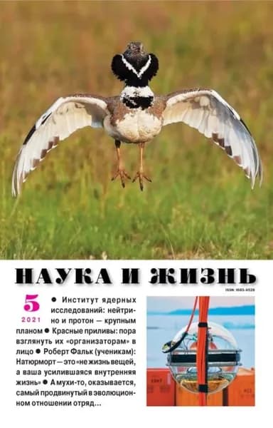 Наука и жизнь No05/2021 | Электронная книга