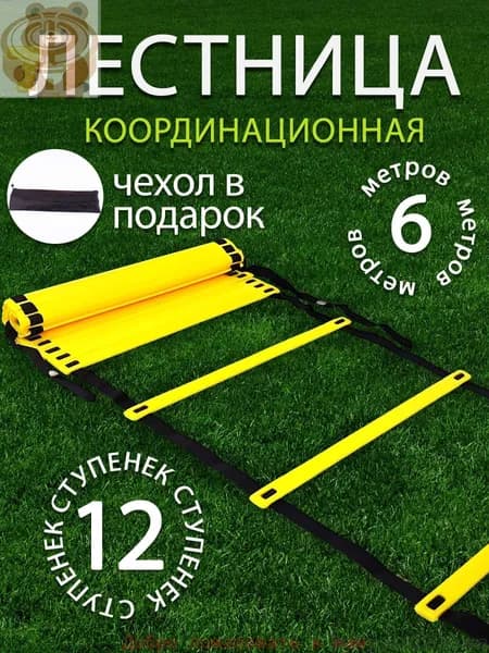 Координационная дорожка