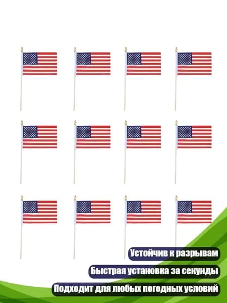 Полиэстеровые флаги для политических мероприятий, 12 - 20х28см
