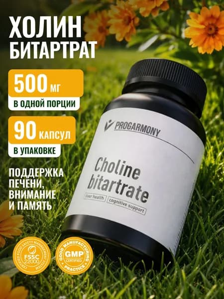 Холин битартрат 500мг, 90 капсул стронг