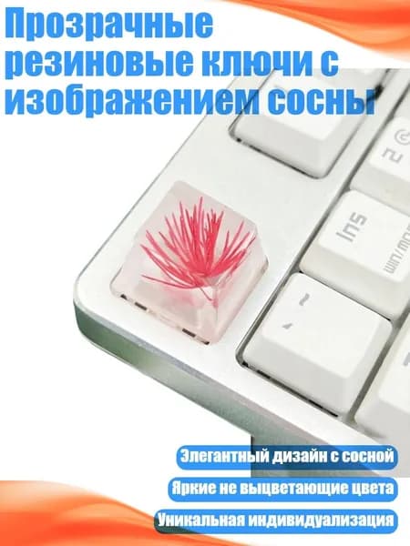 Прозрачные резиновые ключи с изображением сосны, красный