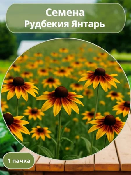 Рудбекия Янтарь, семена 10 шт