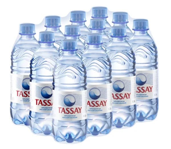 TASSAY вода природная, негазированная, 12 штук по 0,5л