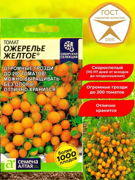 Семена томатов Ожерелье жёлтое, черри. Отличные вкусовые качества, ароматный.