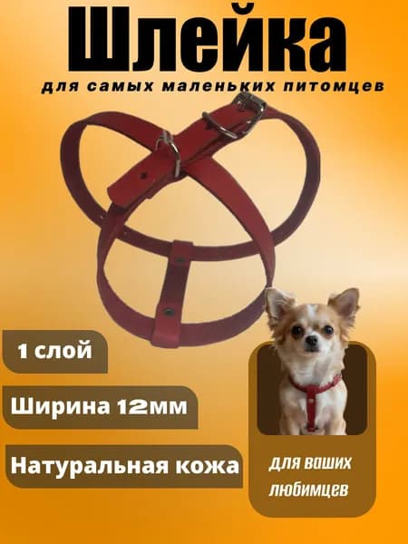 Шлейка для самых маленьких пород
