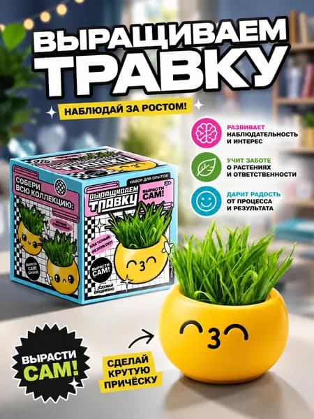 Набор для выращивания травки, Смайлик: Поцелуй, опыты и эксперименты для детей, вырасти сам для детей