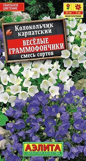 Семена Колокольчик карпатский Веселые граммофончики, смесь (0,1г) - Аэлита. Многолетняя кампанула Жених и Невеста, цветет в первый год, для горшка и сада