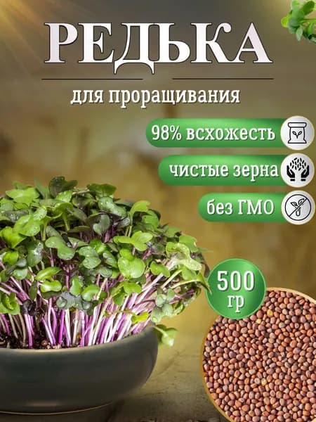 Редька микрозелень 500 гр Семена для проращивания