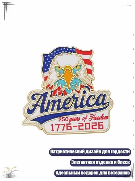 Детализированный брошь в форме орла к 250-летию Дня независимости для мужчин и женщин, - 2