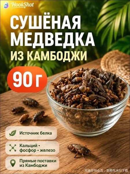 Медведка азиатская, вес 90 г 100% натуральный.