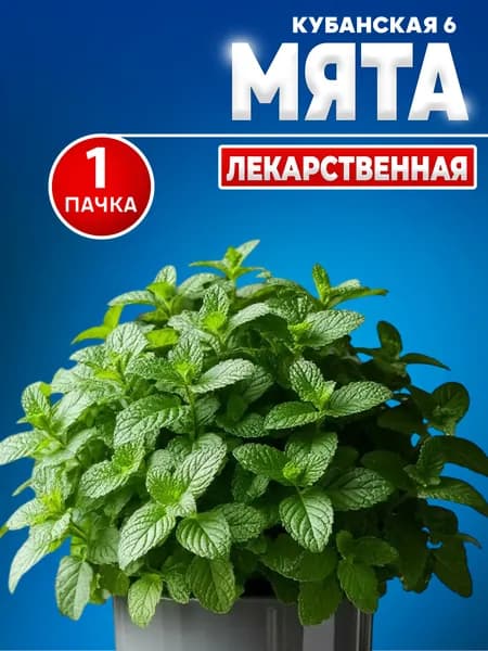 Семена Мяты
