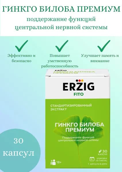 Гинкго Билоба Премиум 120 мг