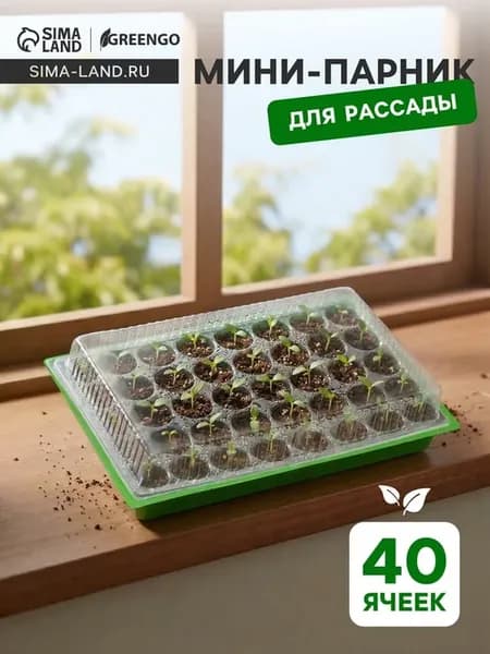 Мини-парник для рассады, 40 ячеек, 57х36 см, 3 шт