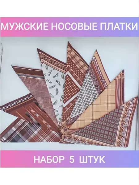 Носовой платок мужской 5 шт