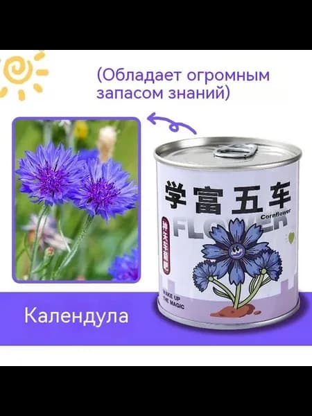 Слепая коробка Алюминиевая крышка