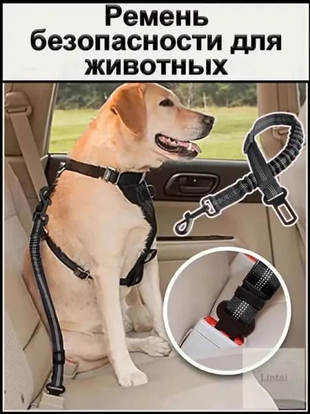 Универсальный ремень для малых пород, усиленный, с амортизацией, применяемый в авто для безопасности животных. Длина 3575 см качественный бестселлер.-1