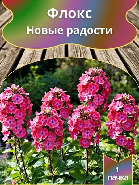 Флокс Новые радости , семена 10 шт.