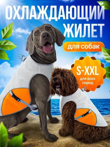 Охлаждающий жилет для собак