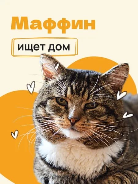 Помочь Маффину