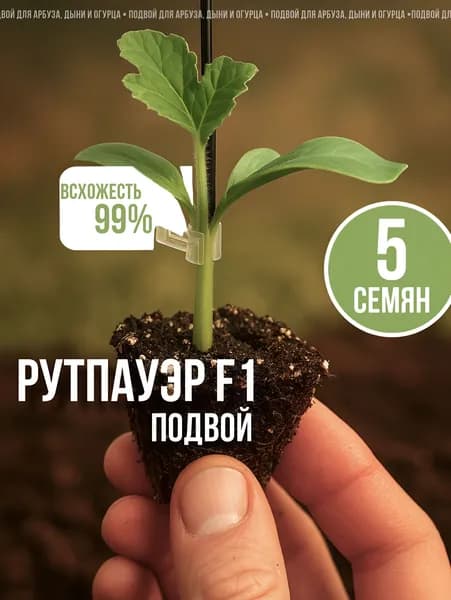 Подвой для арбуза, дыни и огурца Рутпауэр F1 5 семян, SAKATA