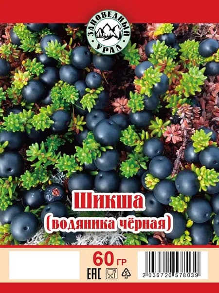 Шикша побеги