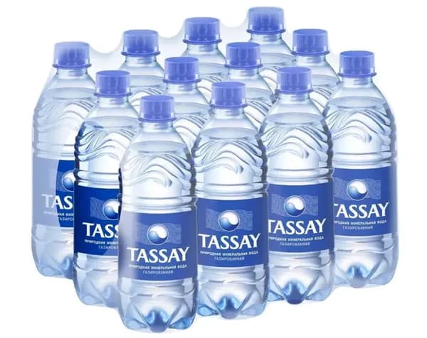 Вода питьевая TASSAY (Тассай), газированная, 0.5 л х 12 шт, ПЭТ