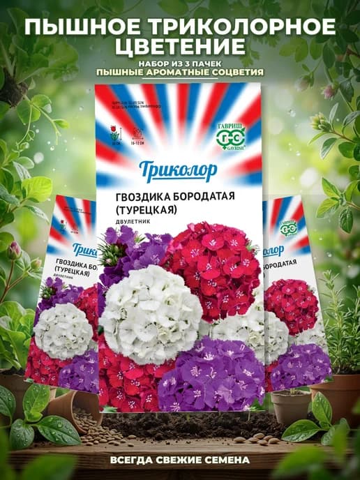Семена гвоздики турецкой Триколор