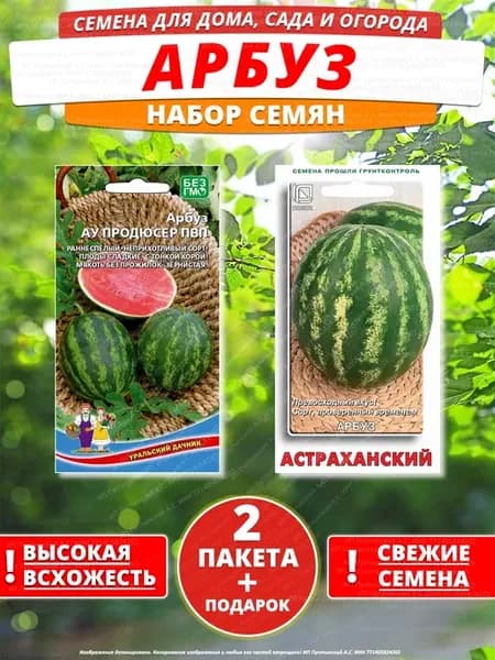 Семена арбуз для дома сада посадки