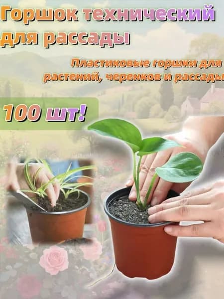 Кассета для рассады