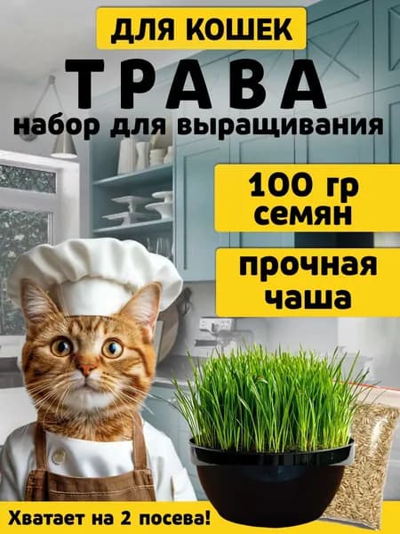 Трава для кошек в лотке. Набор для выращивания. Лакомство для кошек