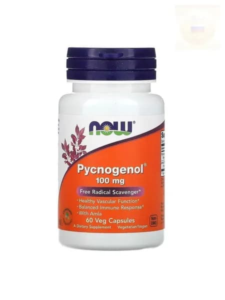 NOW Foods, Pycnogenol 100 мг, 60 вегетарианских капсул