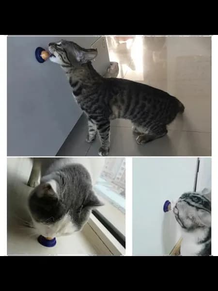 Кошачьи конфеты с мятой, полезное лакомство, э больц