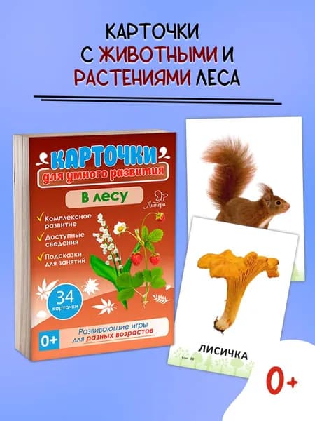 В лесу / Карточки для малышей развивающие