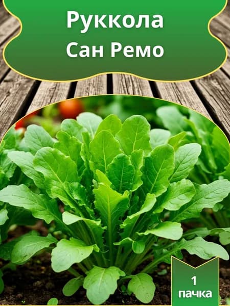 Руккола Сан Ремо , семена 10 шт.