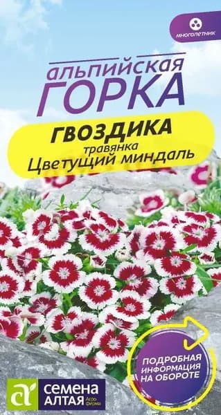Семена Гвоздика травянка Цветущий миндаль/Семена Алтая/цп 0,05 гр. многолетник. Альпийская горка