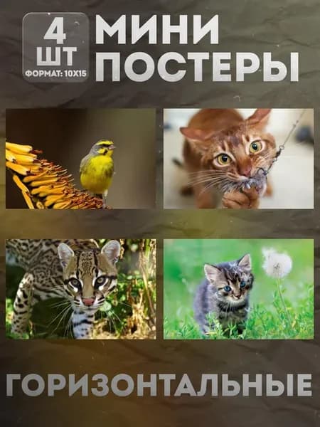 Мини постеры 10 на 15 (набор) «Животные» 4 шт