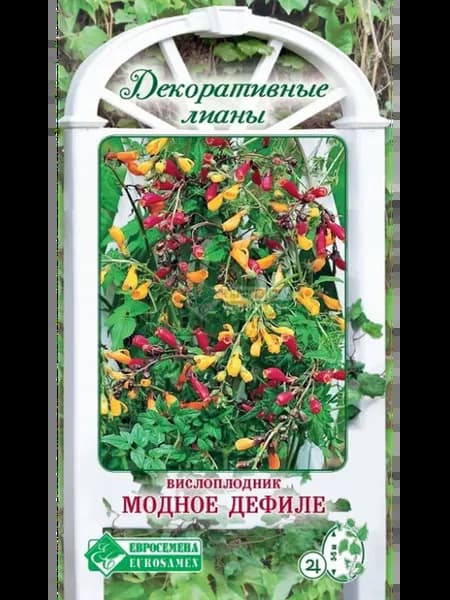 Семена Вислоплодник "Модное Дефиле"