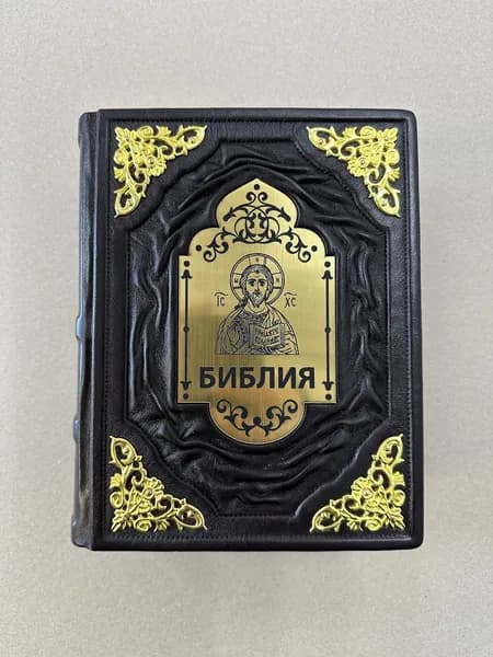 Библия. Книги Священного писания Ветхого и Нового завета (подарочная кожаная книга)