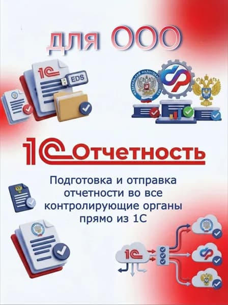 Сервис 1С:Отчетность для ООО на 12 месяцев