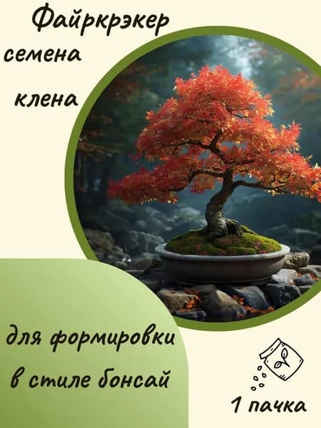 Клен Файркрэкер(бонсай), 10 шт. семян
