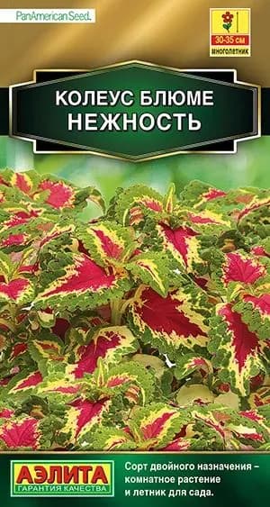 Семена Колеус блюме Нежность (5 семян) - Аэлита
