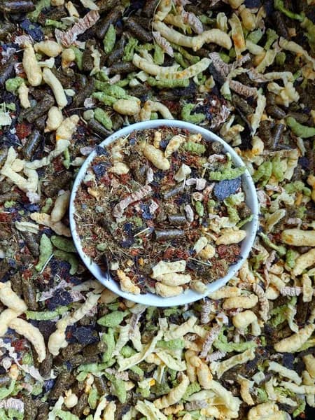МЭШ "Спорт+" пробник 1кг. производитель "Зефиркины Вкусняшки"