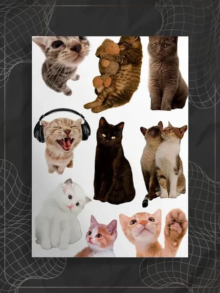 Постер "Котики"